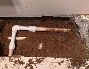 汾西测漏水哪家好